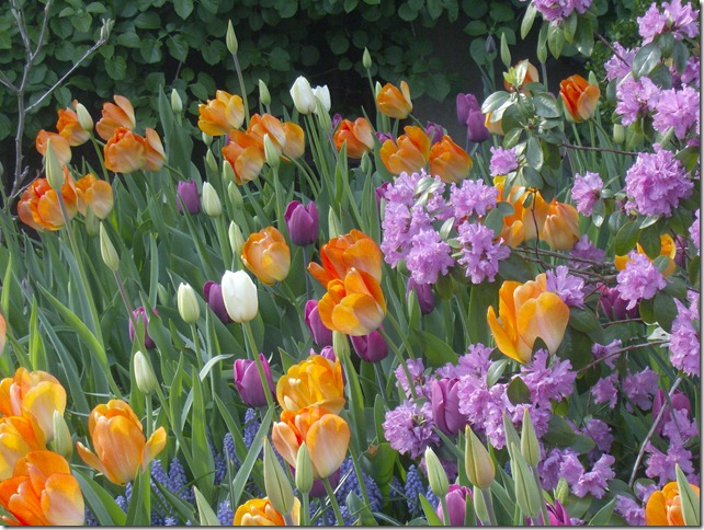 spring in park slope