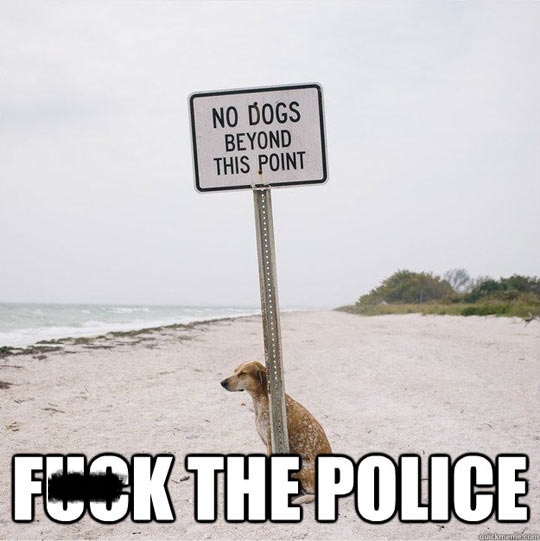 rebel dog
