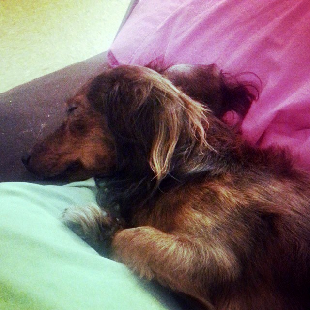 1739302_851191981598987_993569727_n