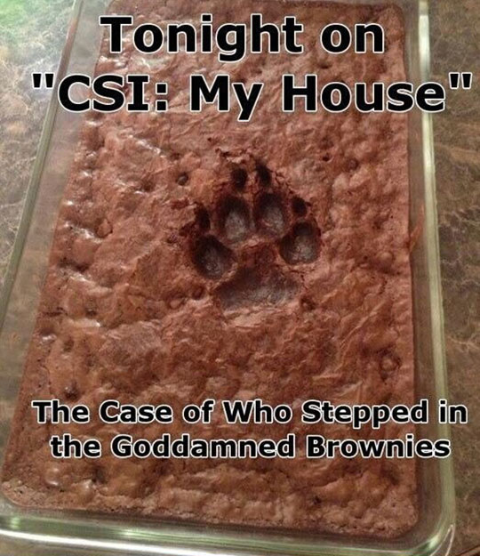 csi my house