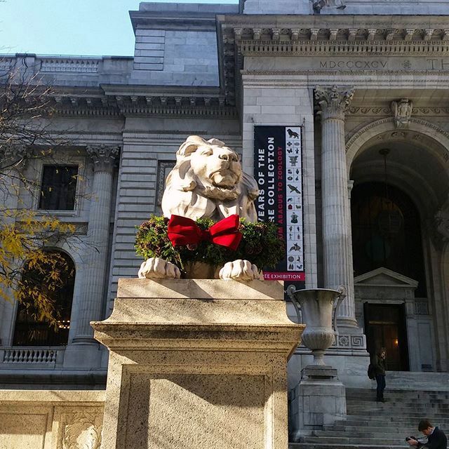 12230870_1524035554585211_4560062_n