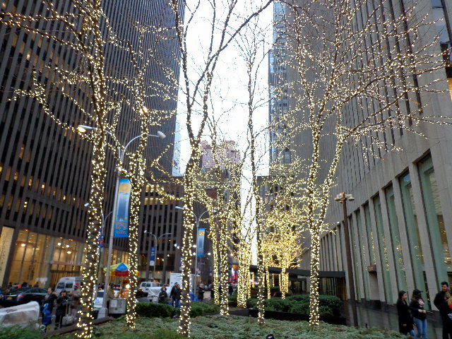 dsc08673
