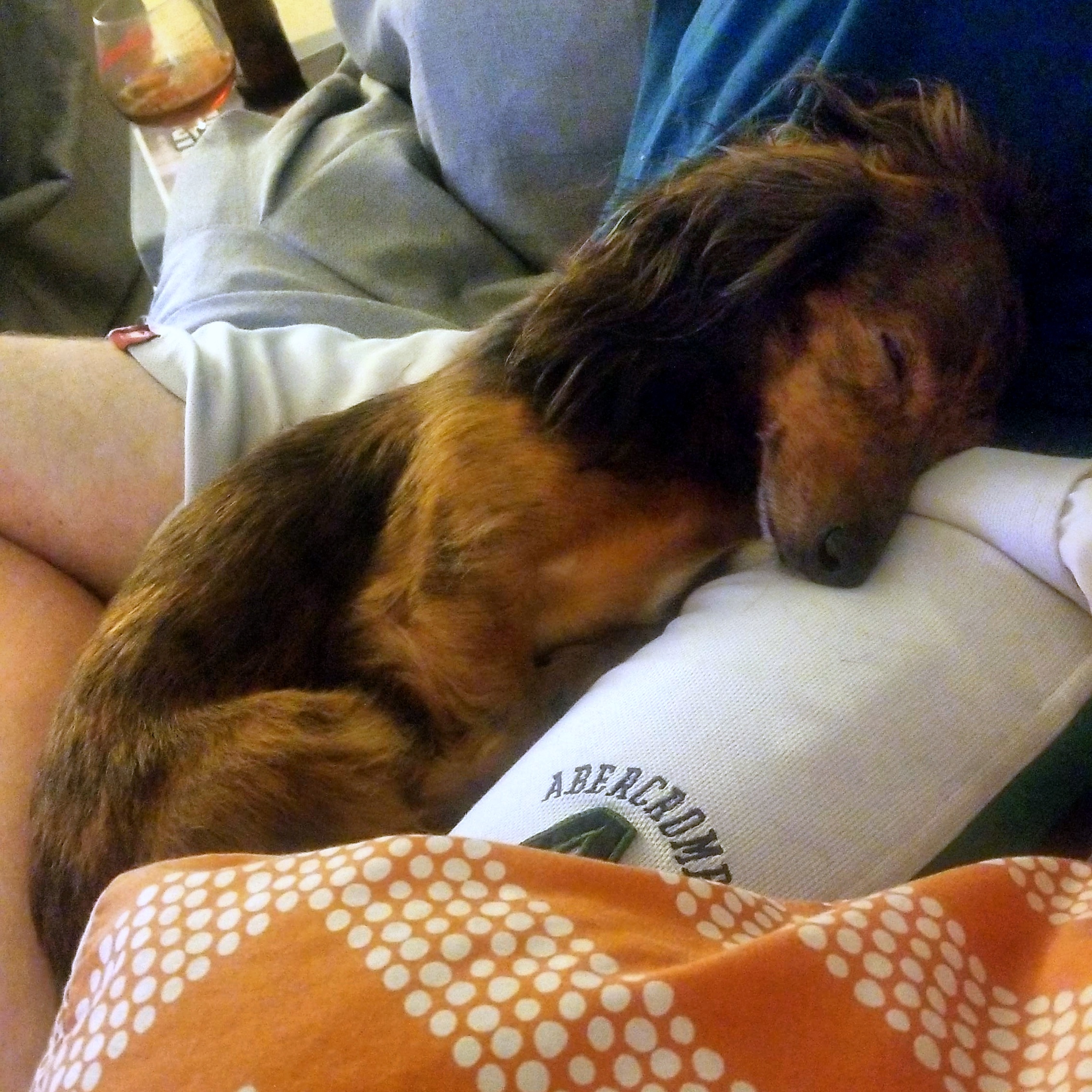 IMG_20170806_213837_525