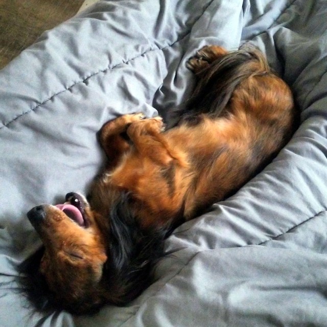 IMG_20190119_110926_765