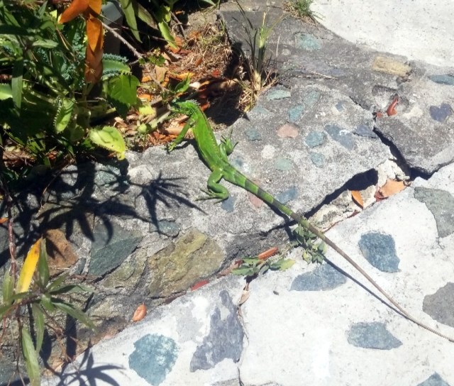 IMG_20190314_115452_337