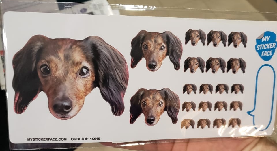 IMG-20190816-WA0000