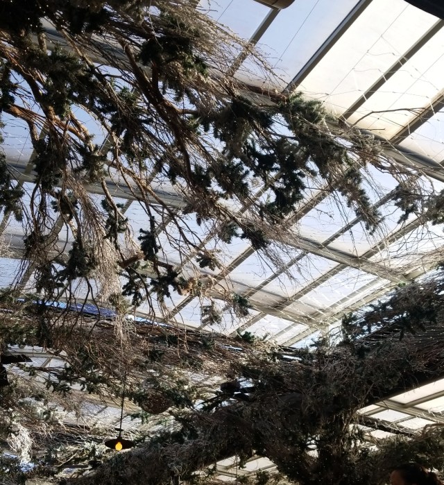 IMG_20191116_133116_437